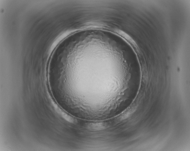 X0000080111431200612081216