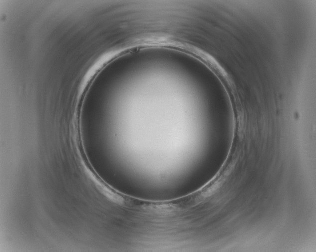 X0000080111432200612081216