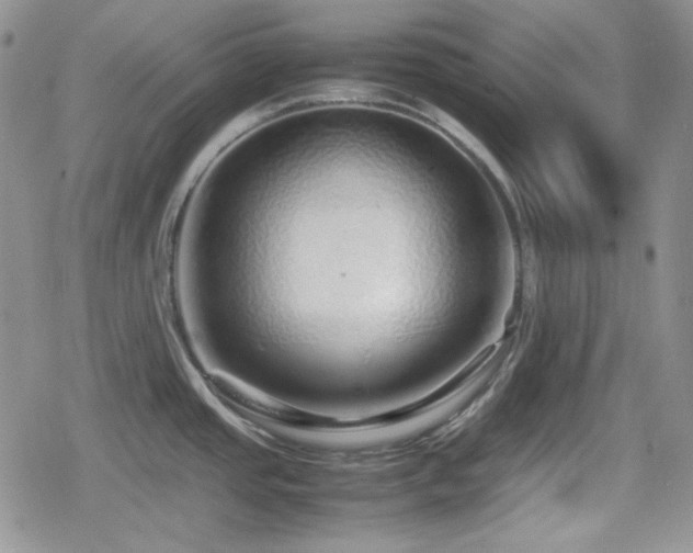 X0000080111437200612081216