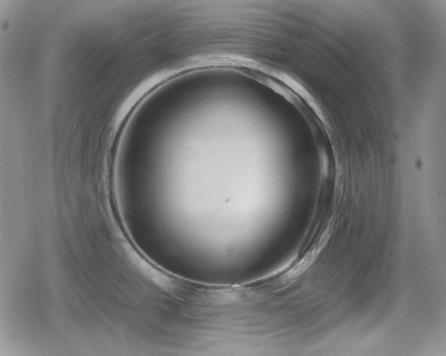 X0000080111438200612081216
