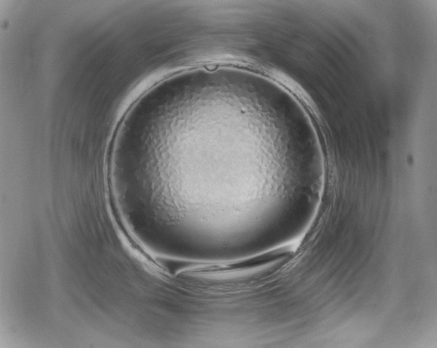 X0000080111439200612081216