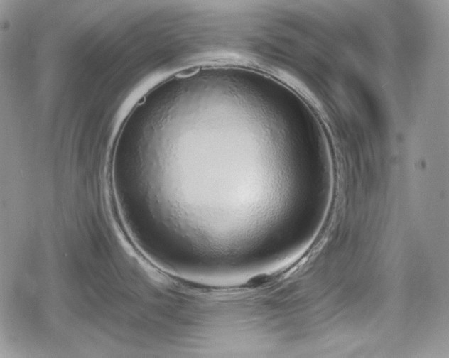 X0000080111440200612081216