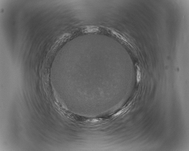 X0000080111441200612081215
