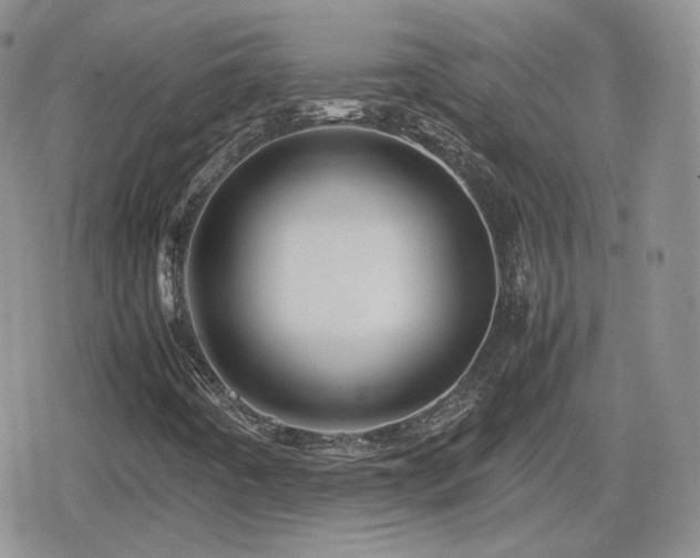 X0000080111442200612081215