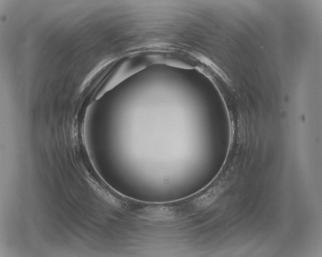 X0000080111450200612081215