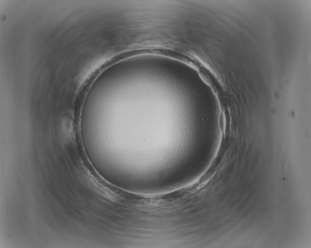 X0000080111452200612081215