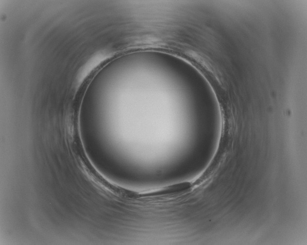 X0000080111458200612081215
