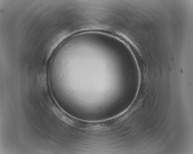 X0000080111460200612081215