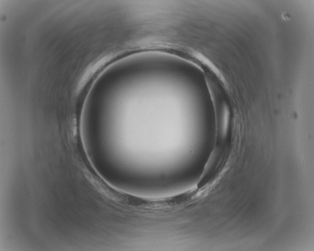 X0000080111461200612081215