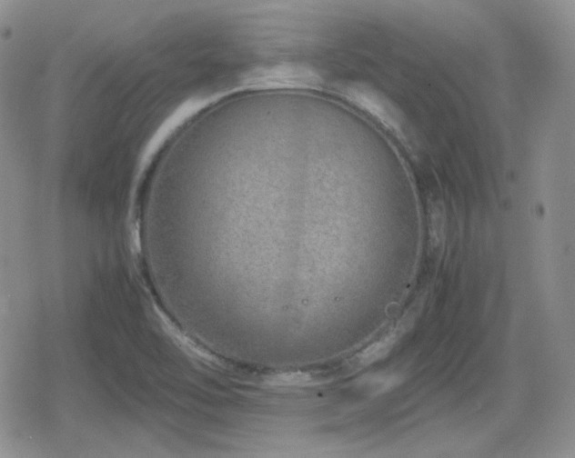 X0000080111462200612081215
