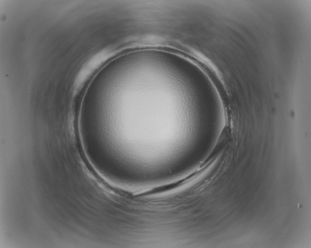 X0000080111464200612081215