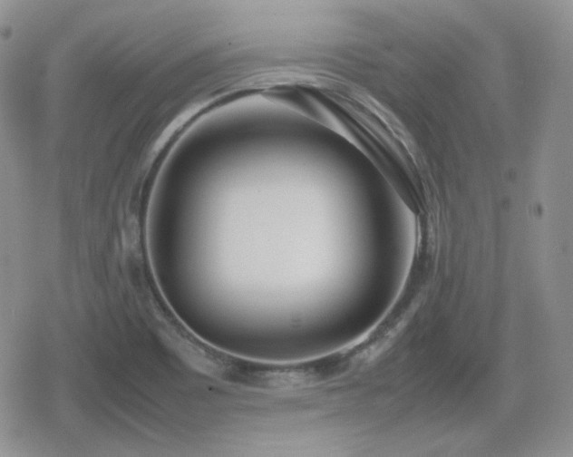 X0000080111465200612081215
