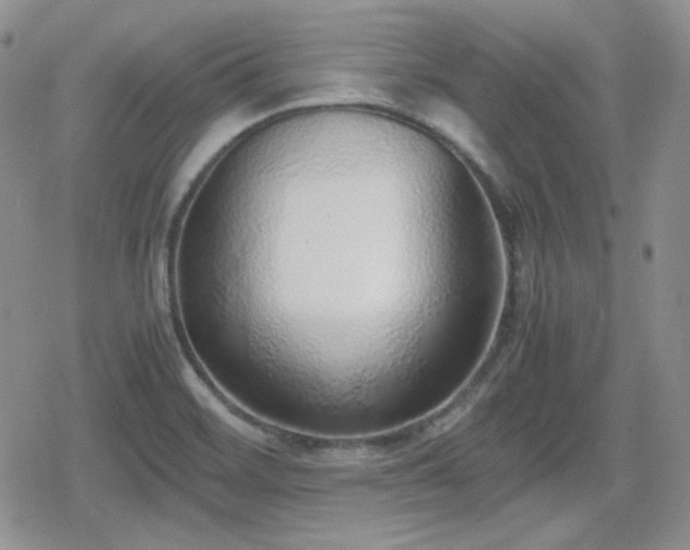 X0000080111468200612081215