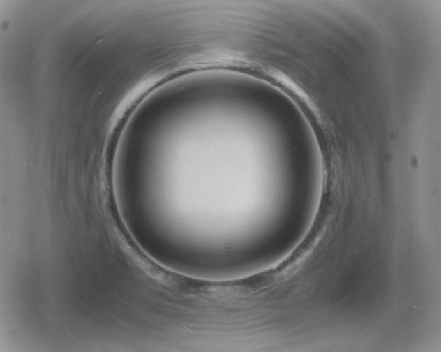 X0000080111469200612081215