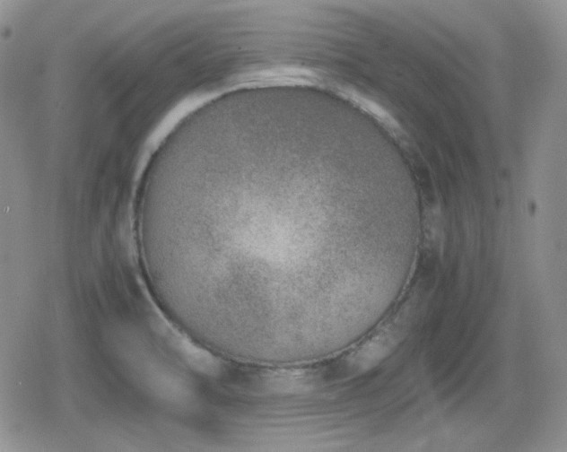 X0000080111470200612081215