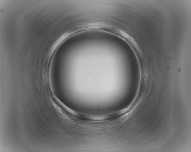 X0000080111473200612081215