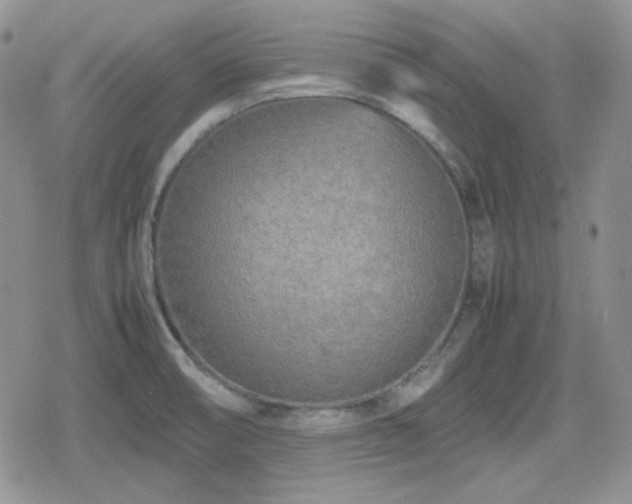 X0000080111474200612081215