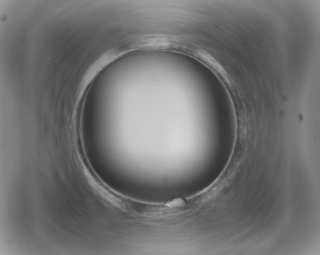 X0000080111475200612081215