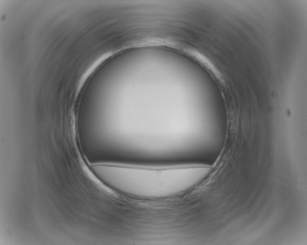 X0000080111476200612081215