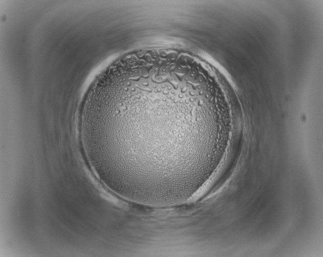 X0000080111477200612081214