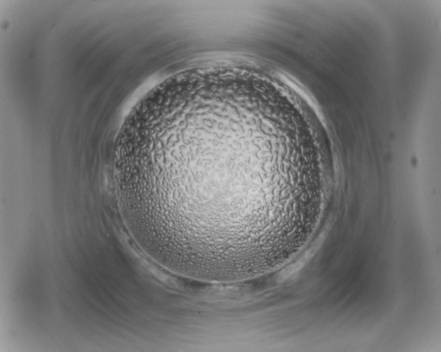 X0000080111481200612081214