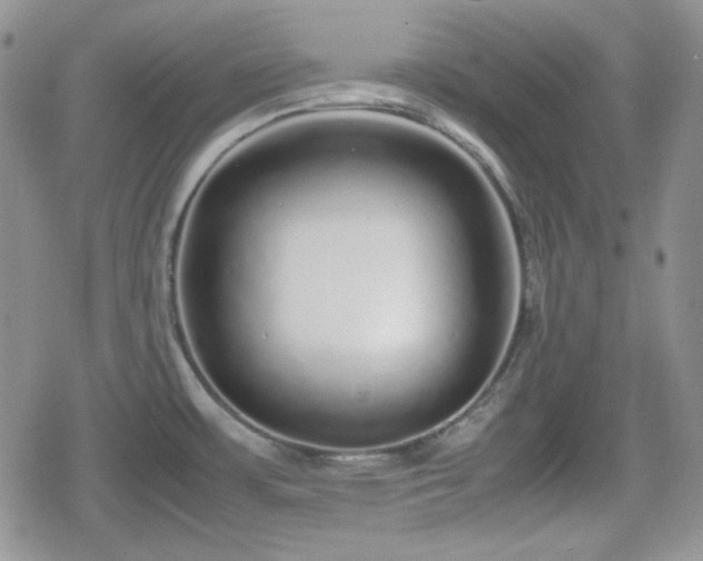 X0000080111483200612081214