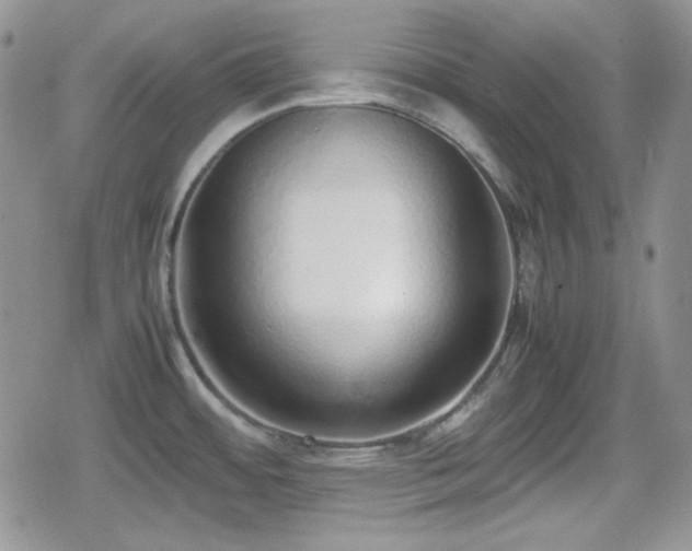 X0000080111484200612081214