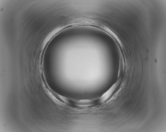 X0000080111485200612081214