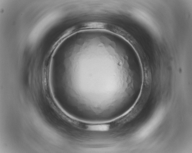 X0000080111487200612081214