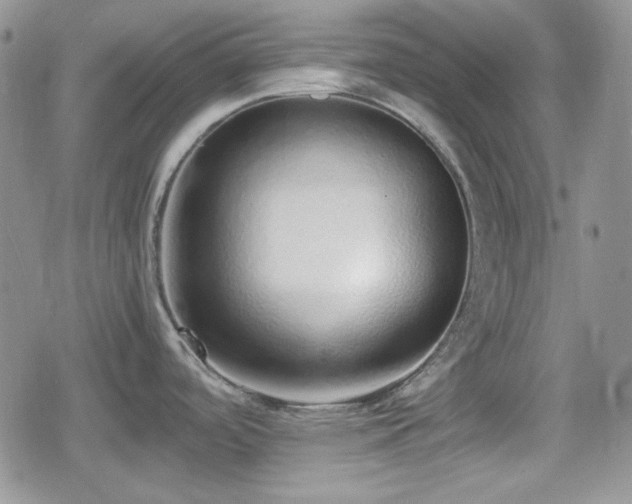 X0000080111488200612081214