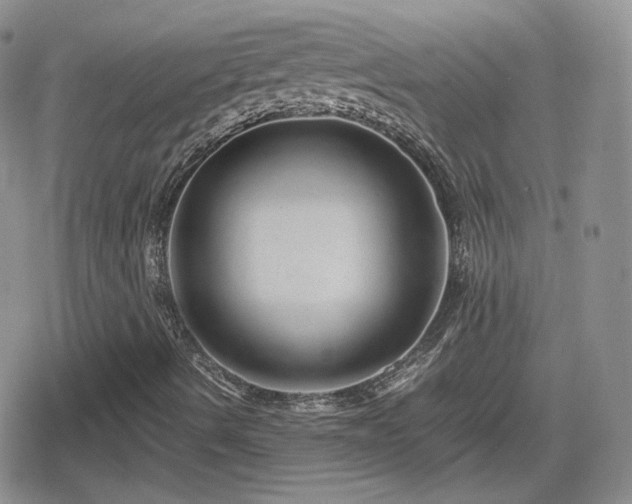 X0000080111490200612081214