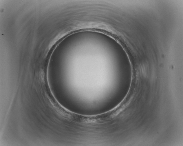 X0000080111505200612081214