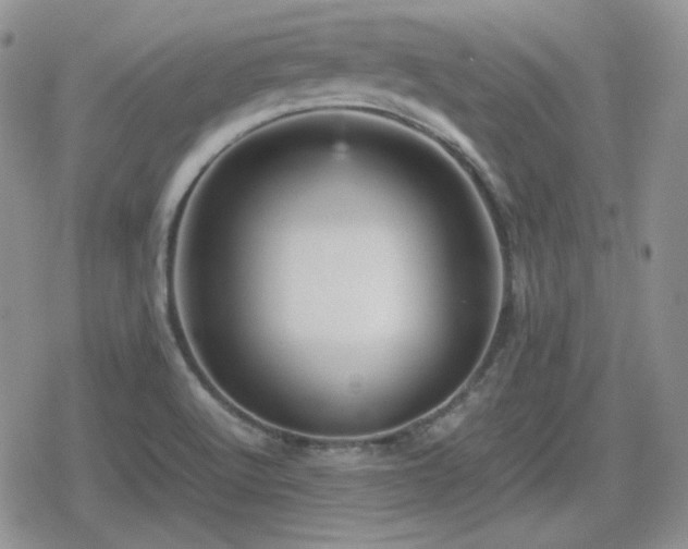 X0000080111512200612081214