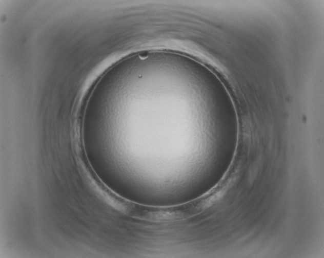 X0000080111517200612081214
