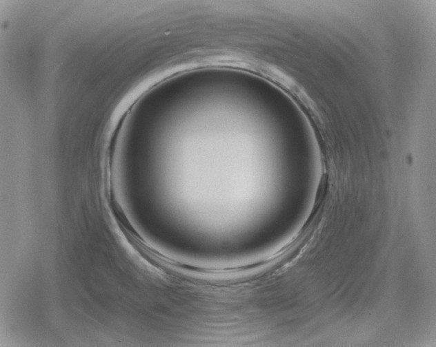 X0000080111520200612081214