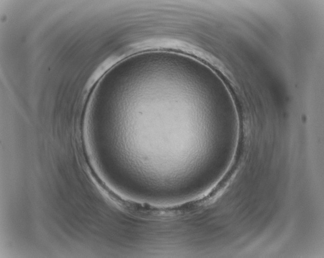 X0000080111521200612081214