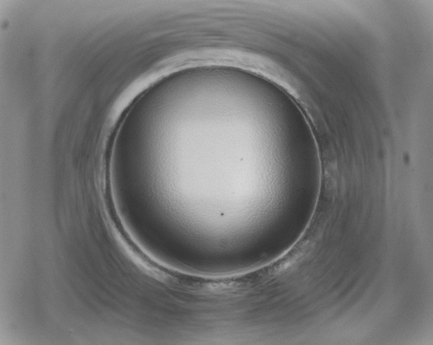 X0000080111523200612081214
