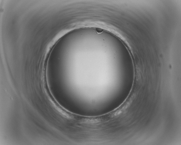 X0000080111525200612081214
