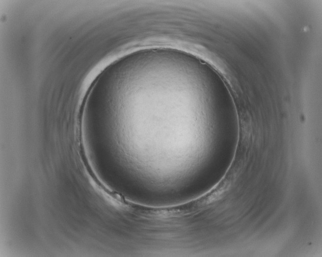 X0000080111527200612081214