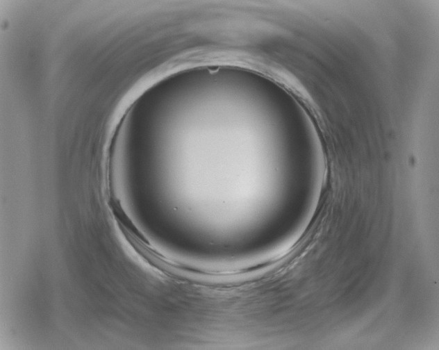 X0000080111528200612081214
