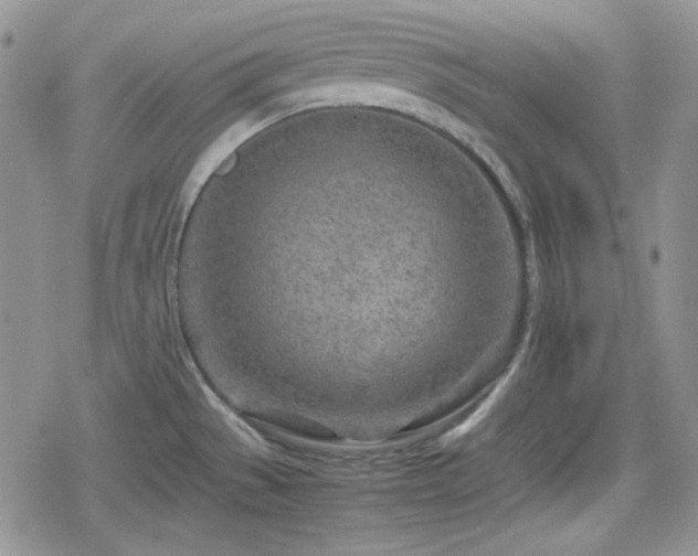 X0000080111529200612081214