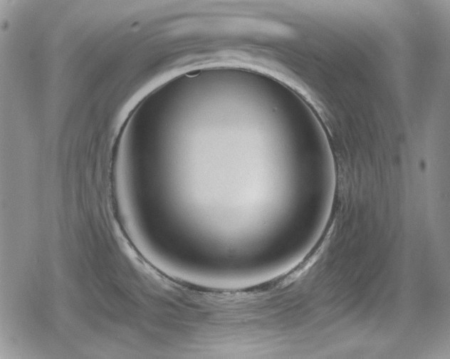 X0000080111534200612081214