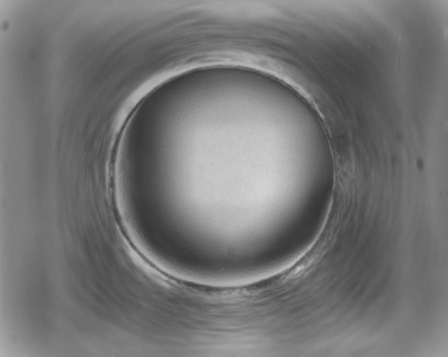 X0000080111535200612081214