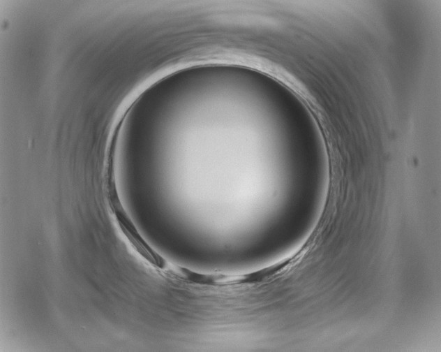 X0000080111536200612081214