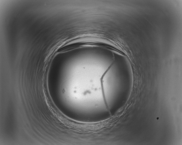 X0000080110001200612151659