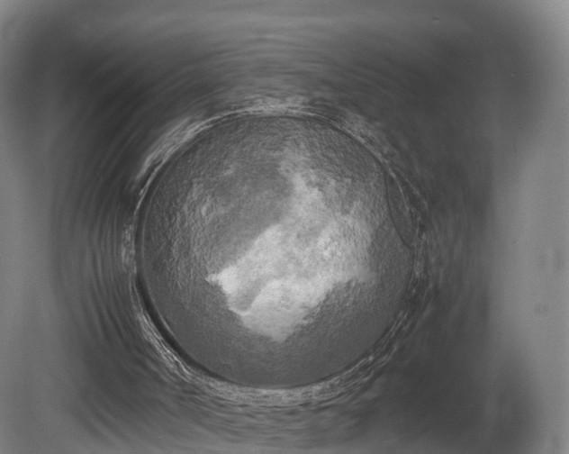 X0000080110002200612151659