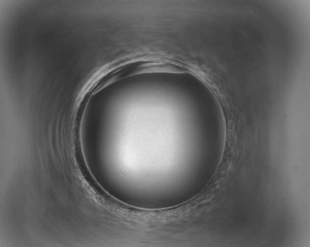 X0000080110007200612151658