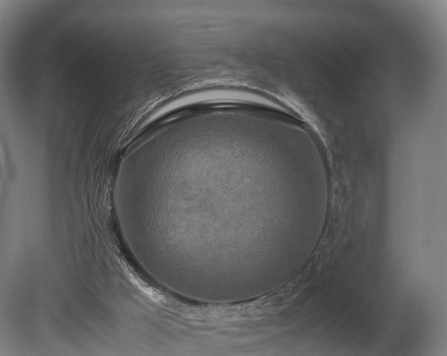 X0000080110009200612151658