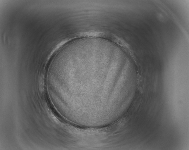 X0000080110012200612151658