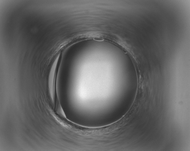 X0000080110013200612151658